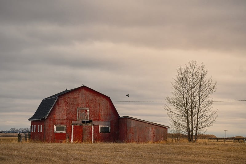 Rustic Barn Weddings